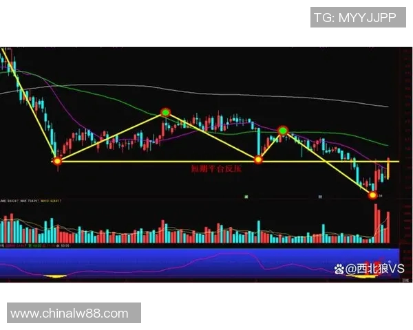 上海足球队反击战术解析及其对联赛形势的影响探讨