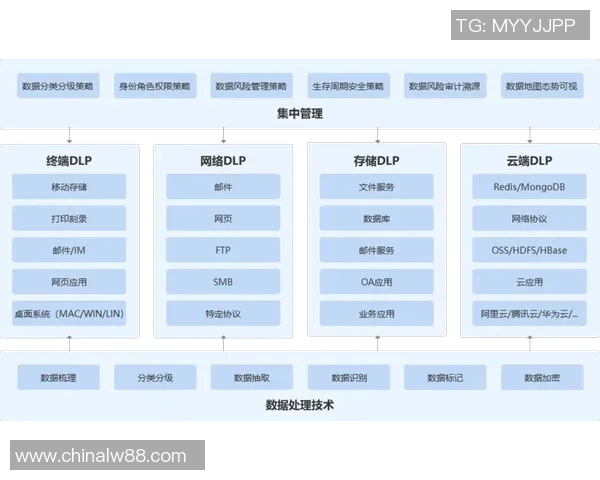 西安极限运动队耐力表现数据分析与训练策略探讨 西安极限运动队耐力表现数据分析与训练策略探讨