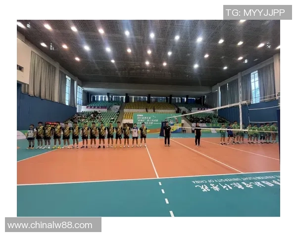成都排球队在全国排球比赛经验排行榜中荣获第五名的背后故事与启示