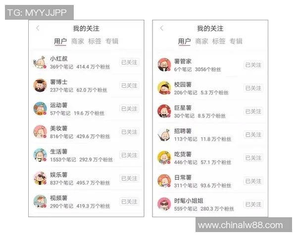 英雄联盟深度分析：探究IG战队成功背后的运营策略与管理模式